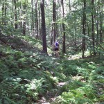 Deep in the hundred acre woods...