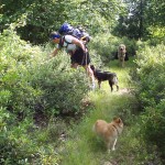 Picking blueberries on the trail.