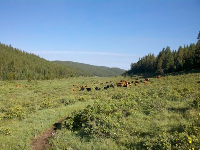 2011-07-16_08-11-57_525