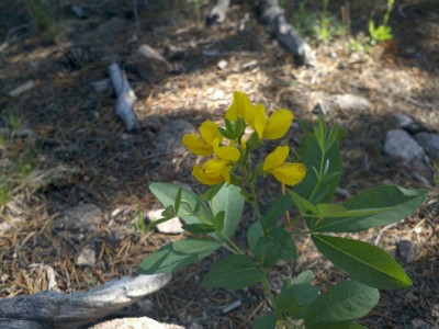 2011-07-18_10-54-20_571