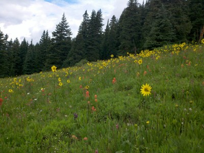 2011-08-02_10-53-58_461