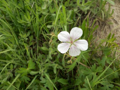 2011-08-02_10-55-14_104