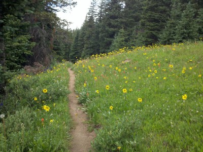 2011-08-02_10-57-12_316