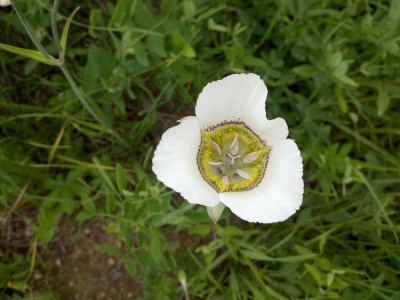 2011-08-02_18-40-47_564