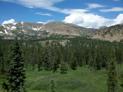 2011-08-04_12-48-01_389