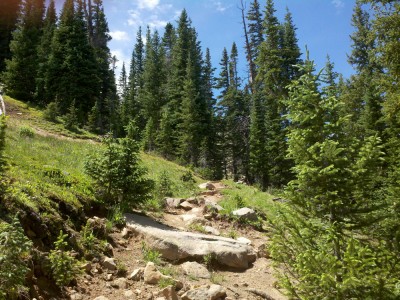 Well, it seemed really steep when I was hiking it.