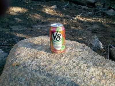 Trail Magic - V8 Juice