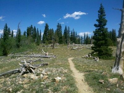 2011-08-08_13-02-29_95