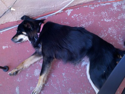 Cassie passed out at the pizza place