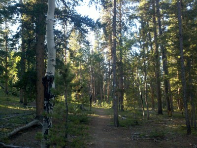 The last of treeline for about 30 miles