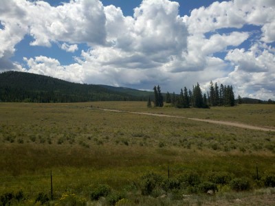 A long hot day in full sun