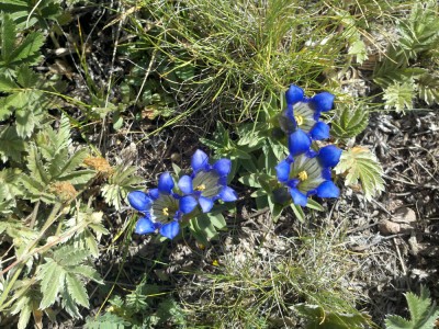 2011-08-18_15-51-46_925